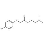 Meclofenoxate pictures