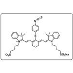 NIR-797-isothiocyanat