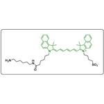 ICG-amine