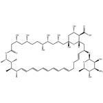 Amphotericin B