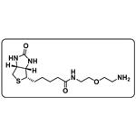 Biotin-PEG1-amine