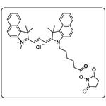 Cyanine3.5 NHS ester