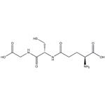 	Glutathione