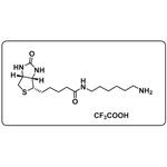 1H-Thieno[3,4-d]imidazole-4-pentanamide；N-(6-aminohexyl)hexahydro-2-oxo-；2,2,2-trifluoroacetate (1:1)