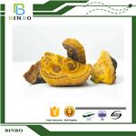 Fleckedflesh Polypore Extract