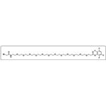 BrCH2CONH-PEG12-TFP ester