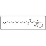 endo BCN-PEG3-amine