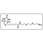 Biotin-PEG2-amine