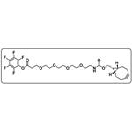 endo BCN-PEG4-PFP ester