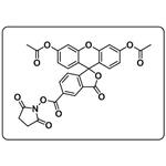 5-diacetate FAM NHS