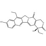 7-Ethyl-10-hydroxycamptothecin