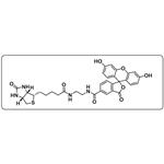 Biotin-4-Fluorescein