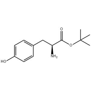 L-Tyr-Otbu