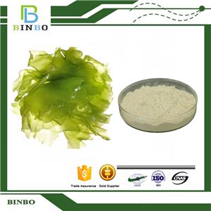 Gamma Linolenic Acid Powder(GLA)