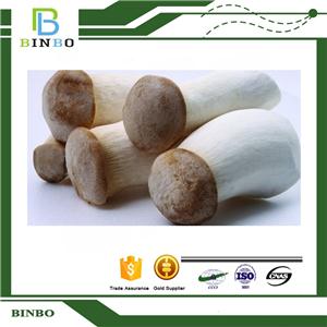 Coprinus Comatus Extract