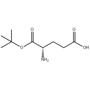 L-Glutamic acid α-tert·butyl ester