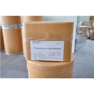 Clindamycin hydrochloride