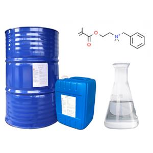 Methacryloyl oxyethyl dimethylbenzyl ammonium chloride