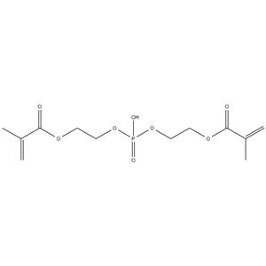 	BIS(2-METHACRYLOXYETHYL) PHOSPHATE