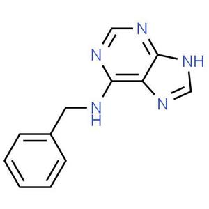 6-Benzylaminopurine