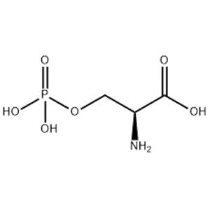 O-Phospho-L-serine