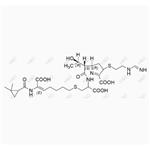 Imipene Cilastatin Adduct 1