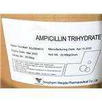 Ampicillin pictures