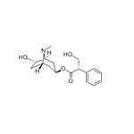 Anisodamine pictures