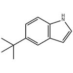 5-(tert-Butyl)-1H-indole