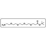 Amino-PEG4-COOtBu