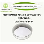 53-84-9 Nicotinamide Adenine Dinucleotide