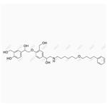 Salmeterol EP Impurity D