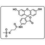 MTS-4-Fluorescein