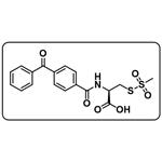 BPCAC-MTS [Benzophenone-4-carboxamidocysteine methanethiosulfonate]