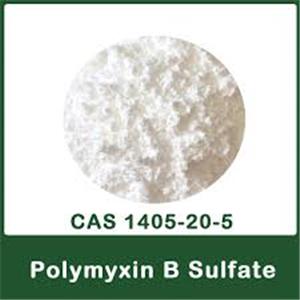 Polymyxin B Sulfate