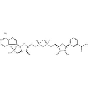 Triphosphopyridine nucleotide