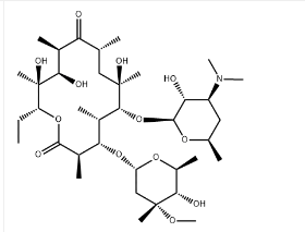 Erythromycin