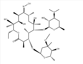 Erythromycin Oxime