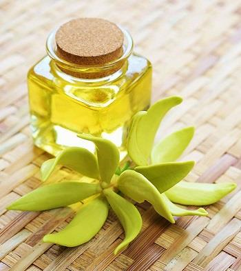 Ylang Ylang Oil