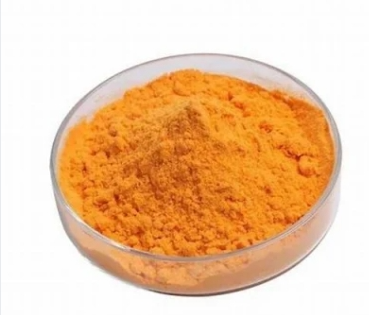 Coenzyme Q10