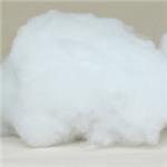 polyester fiber