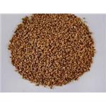 Walnut Shell Filter Walnut Shell Abrasive Materials for Water Treatment, Polishing, Tumbling