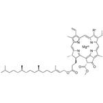 CHLOROPHYLL