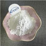 ETHYL LAUROYL ARGINATE HCL