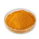 Curcumin 