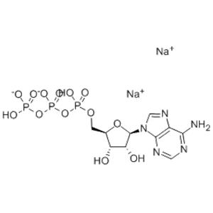 Adenosine-5'-Triphosphate Disodium