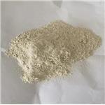 Bentonite Clay