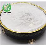 6-Aminopenicillanic acid