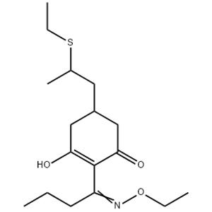 	Sethoxydim