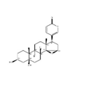 marinobufagenin